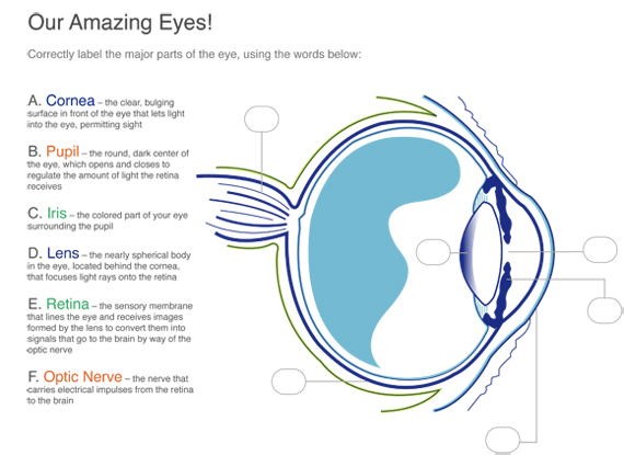 Eye Diagram Quiz